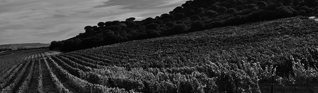 Abadía Retuerta LeDomaine