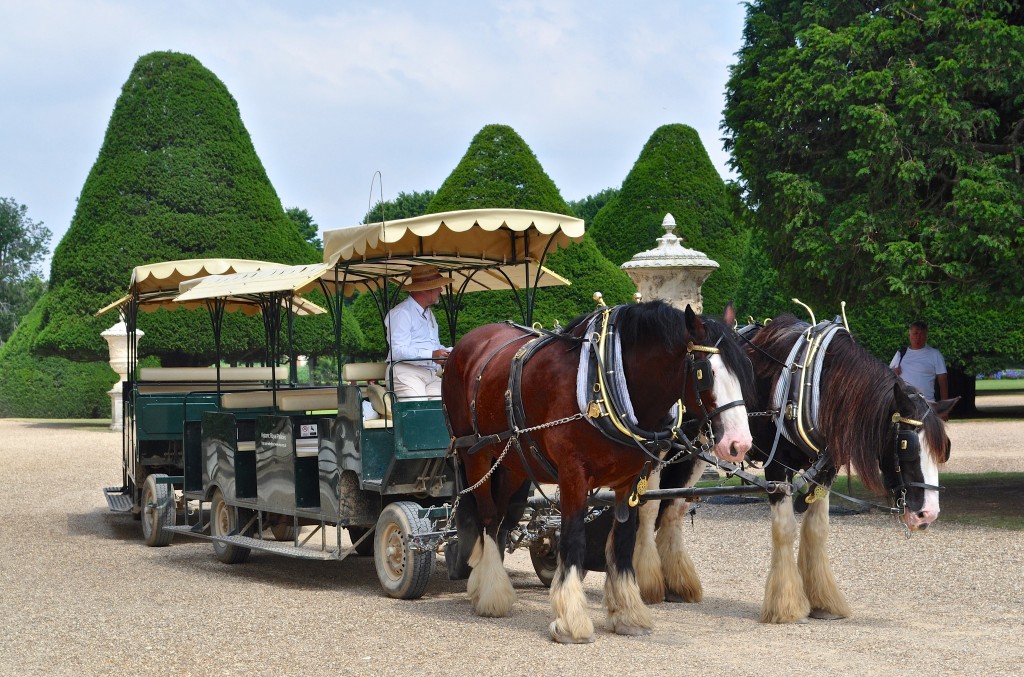 Hampton Court Palace by Sue Lowry